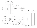 4437237848.webp
